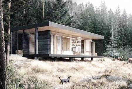 проект 50-1ПП