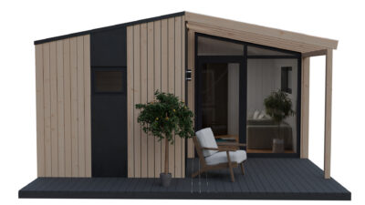 Проект «Алекса MAX»