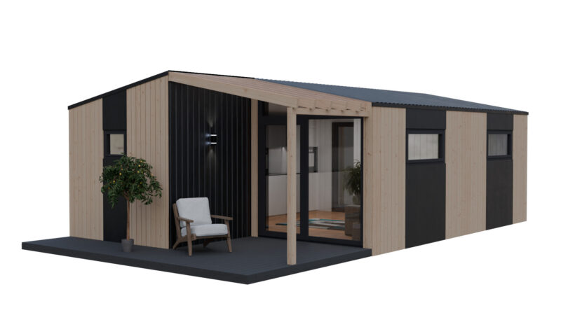 Проект «Алекса»