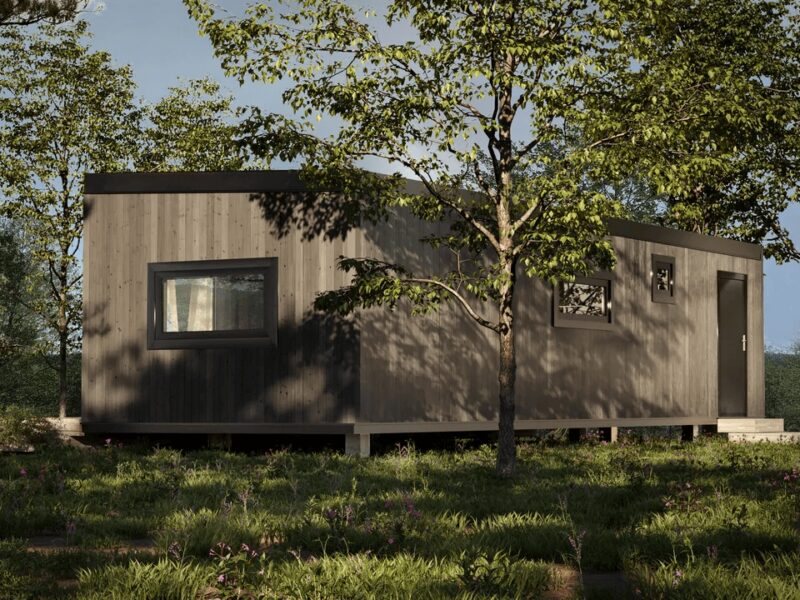 Проект «Мучилес»