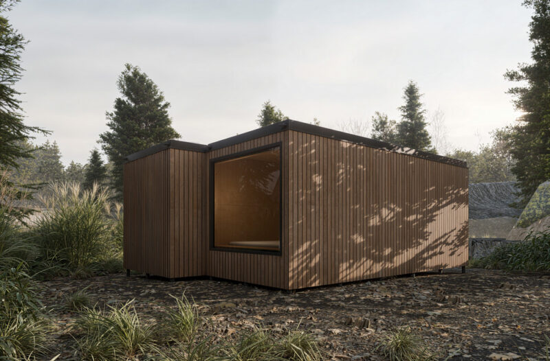 Проект «Люпин»