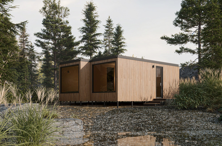 Проект «Люпин»