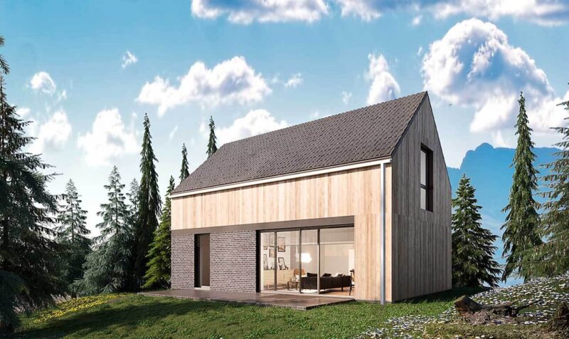 Проект «Левис»