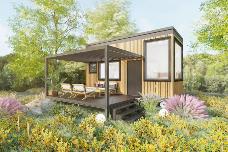 Проект «Догли»