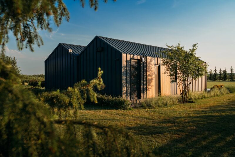 Проект «Лоза»