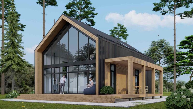 Проект «Цепис»