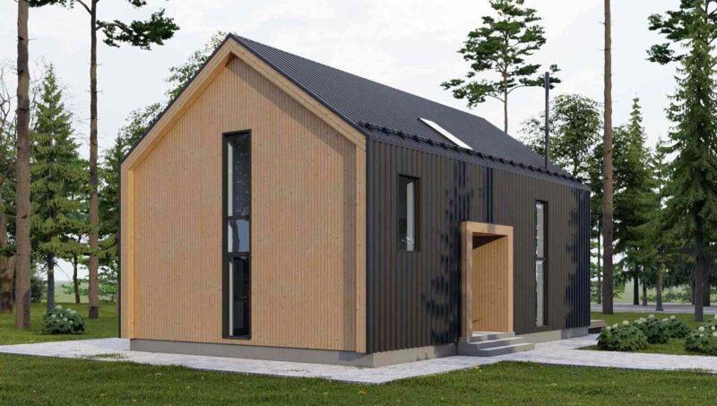 Проект «Цепис»