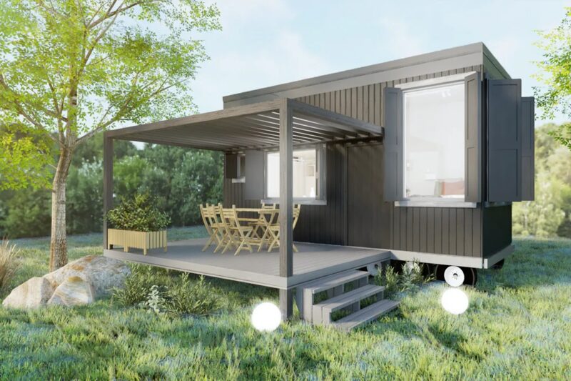 Проект «Догли»