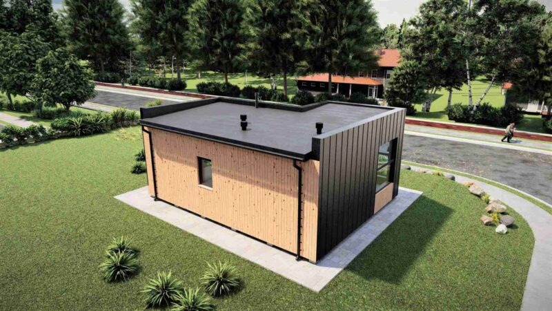 Проект «Скайков»